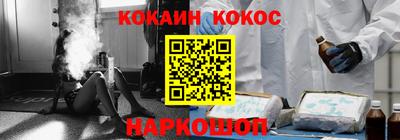 сатива Новозыбков