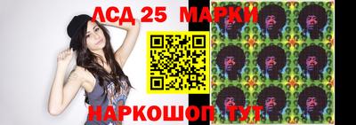 гидропоника Новокубанск