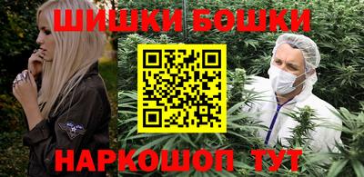 сатива Новозыбков