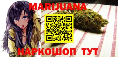 сатива Новозыбков