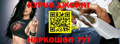 сатива Новозыбков