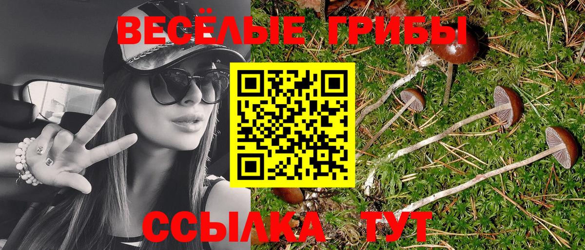 Сызрань  хочу   Вход с VPN  Галлюциногенные грибы MAGIC MUSHROOMS 